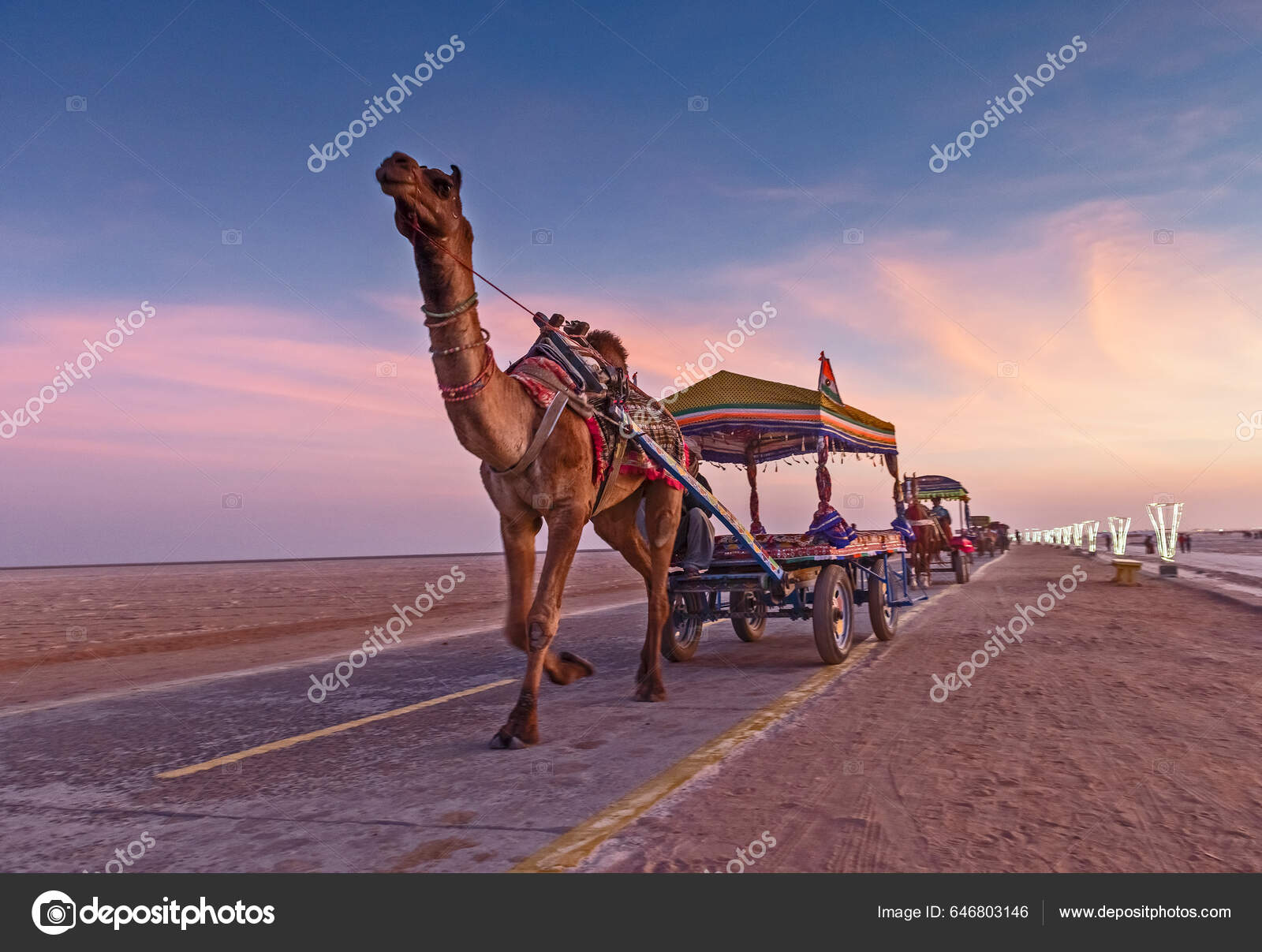 Colorful Camel Cart Rann Kutch Backdrop Late Sunset Rann Kutch Stock Photo  by ©sanc4u 646803146