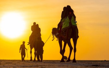 Kutch, Gujarat, Hindistan 'daki Rann deve binicileri.