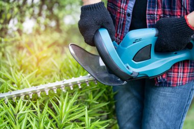 Bahçedeki ağaç tepesini kesmek için elektrikli çit biçme makinesi tutan bahçıvan..