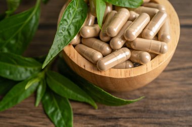 Andrographis paniklemesi ya da kariyer yaprağı bitkisi. Kovid19 koronavirüs enfeksiyonunu tedavi etmek için bitki kapsülleri..