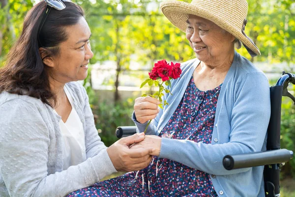 stock image Caregiver daughter hug and help  Asian senior or elderly old lady woman holding red rose on wheelchair in park.