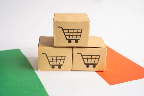 ショッピングカートのロゴとアイルランドの旗を持つボックス インポートエクスポートショッピングオンラインまたは電子商取引金融配達サービスストア製品出荷 サプライヤーコンセプト — ストック写真