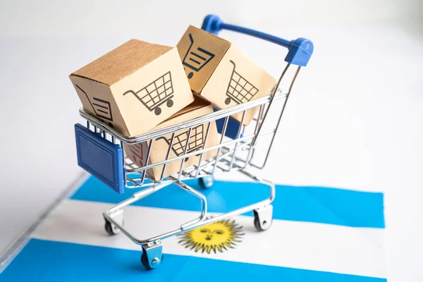 Kosár Logóval Argentína Zászlóval Ellátott Doboz Import Online Vásárlás Vagy — Stock Fotó