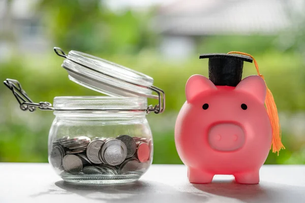 Save money coins in grass jar with piggy bank and graduation cap, Business finance education concept.