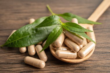 Andrographis paniklemesi ya da kariyer yaprağı bitkisi. Kovid19 koronavirüs enfeksiyonunu tedavi etmek için bitki kapsülleri..