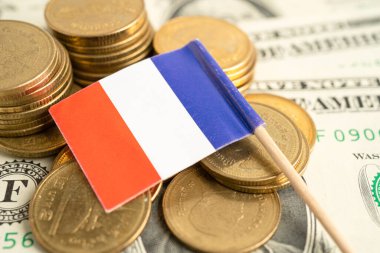 Fransa bayraklı para yığını, finans bankacılığı kavramı.