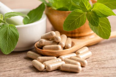 Alternatif ilaç bitkisel organik kapsül E omega 3 vitamini balık yağı, mineral, bitki yapraklı ilaç sağlıklı yaşam için doğal destek.