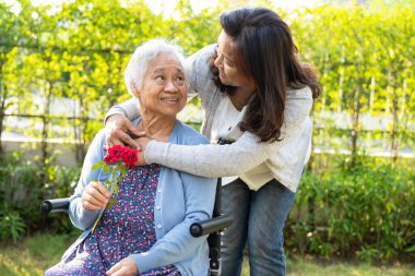 Bakıcı kız, parkta tekerlekli sandalyede kırmızı gül tutan Asyalı yaşlı ya da yaşlı kadına sarılıp yardım ediyor..