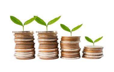 Tasarruf paraları üzerinde ağaç yaprağı, iş finansmanı tasarruf bankacılık yatırım kavramı.