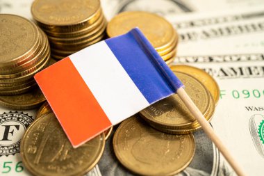 Stack of coins with France flag and US dollar banknotes.