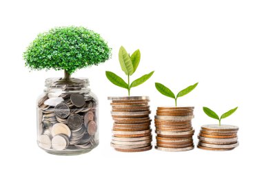 Tasarruf paraları üzerinde ağaç yaprağı, iş finansmanı tasarruf bankacılık yatırım kavramı