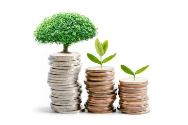 Tasarruf paraları üzerinde ağaç yaprağı, iş finansmanı tasarruf bankacılık yatırım kavramı.