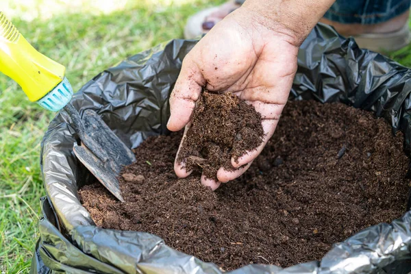 Hand holding peat moss organic matter improve soil for agriculture organic  plant growing, ecology concept. Stock Photo