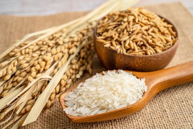 Altın tahıl tarım çiftlik ile yasemin beyaz pirinç.