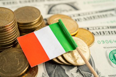 İçinde İtalya bayrağı ve Amerikan doları banknotları olan bir yığın para..