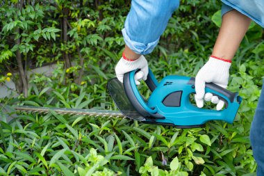 Woman taking care and growing plants, Hobby planting home garden, ornamental pruning.