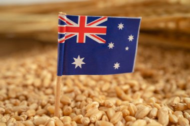 Avustralya bayrağı, ticaret ihracatı ve ekonomi konseptiyle tahıl taneleri.