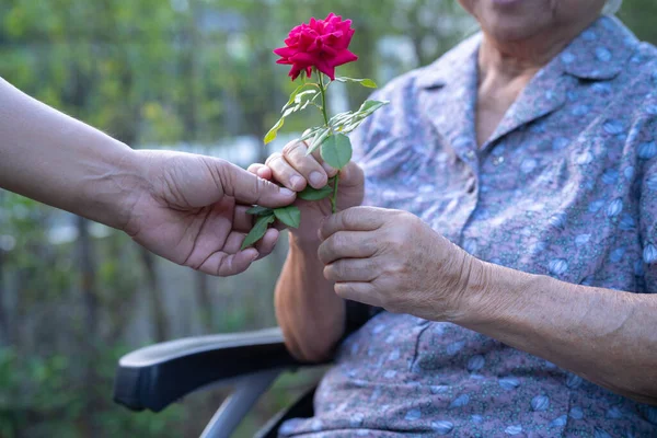 亚洲老太太牵着红玫瑰花 笑着在阳光灿烂的花园里快乐 — 图库照片