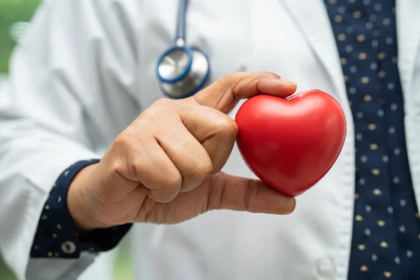 stock image Doctor holding a red heart in hospital ward, healthy strong medical concept.