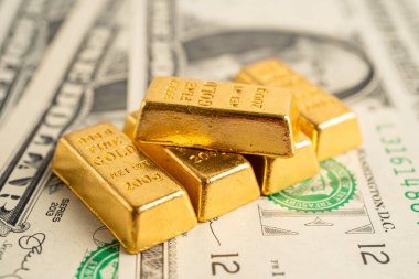 ABD doları üzerindeki altın külçeleri para, ekonomi finansmanı ticaret yatırım kavramı.