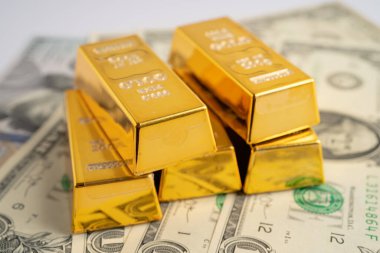 ABD doları üzerindeki altın külçeleri para, ekonomi finansmanı ticaret yatırım kavramı.