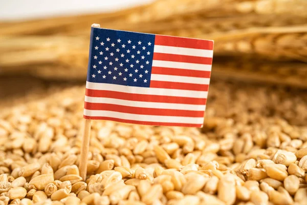 Granos Trigo Con Bandera Estados Unidos Exportación Comercial Concepto Economía — Foto de Stock
