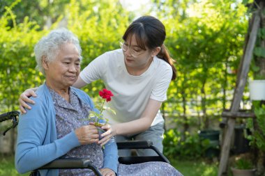 Asian elderly woman holding red rose flower, smile and happy in the sunny garden.