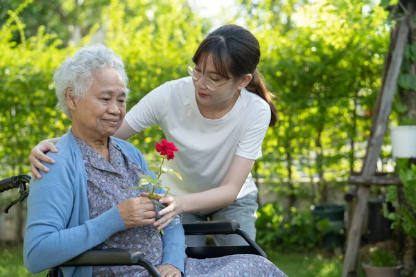 Azji Starsze Kobieta Gospodarstwa Czerwony Kwiat Róży Uśmiech Szczęśliwy Słonecznym — Zdjęcie stockowe
