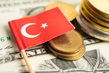 Türkiye bayrağı ve Amerikan doları banknotlu para yığını.