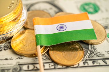 İçinde Hindistan bayrağı ve Amerikan doları banknotları olan bozuk para yığını..