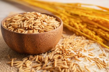 Altın tahıl tarım çiftlik ile yasemin beyaz pirinç.