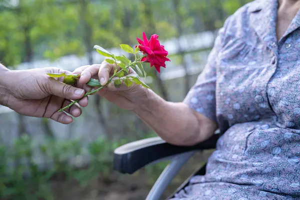 在阳光普照的花园里 照料者帮着捧着红玫瑰花的亚洲老年妇女 微笑着 快乐着 — 图库照片