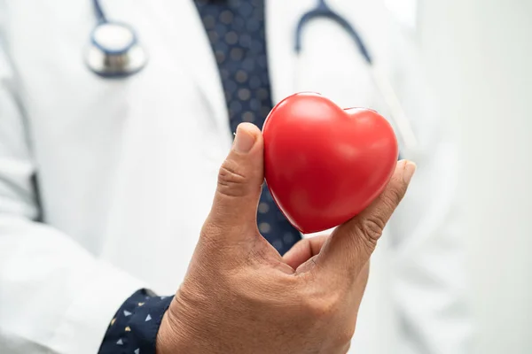 stock image Doctor holding a red heart in hospital ward, healthy strong medical concept.