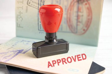 Ülkedeki havaalanında göçmenlik için onaylanmış pul vize ve pasaport belgesi.