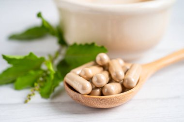 Alternatif ilaç bitkisel organik kapsül E omega 3 vitamini balık yağı, mineral, bitki yapraklı ilaç sağlıklı yaşam için doğal destek.