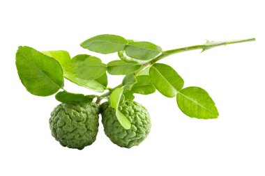 kırpma yolu ile beyaz arka plan üzerinde izole taze bergamot meyve.