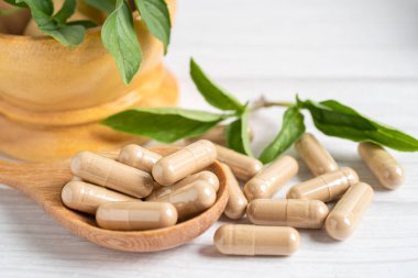 Alternatif ilaç bitkisel organik kapsül E omega 3 vitamini balık yağı, mineral, bitki yapraklı ilaç sağlıklı yaşam için doğal destek.