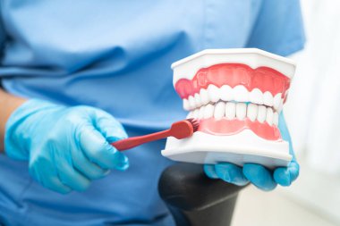 Hasta için diş fırçası ve diş fırçasıyla diş temizliği yapan Asyalı bir dişçi..