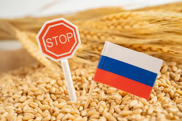 Grãos Trigo Com Bandeira Rússia Com Sinal Stop Comércio Exportação — Fotografia de Stock