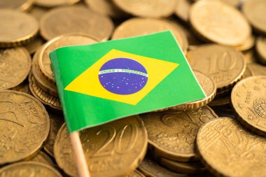 Brezilya madeni paralar, finans ve muhasebe, bankacılık kavramı üzerine bayrak.