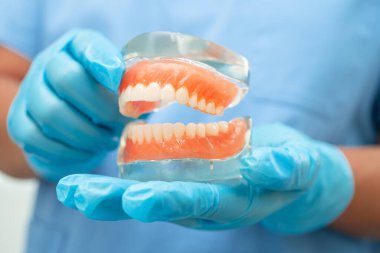 Diş macunu, diş hekimi hastanede çalışmak ve tedavi etmek için diş modelini tutuyor..