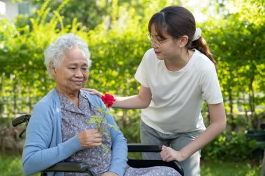 Asian elderly woman holding red rose flower, smile and happy in the sunny garden.