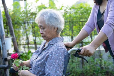 Caregver, elinde kırmızı gül çiçeği olan Asyalı yaşlı kadına yardım et, gülümse ve güneşli bahçede mutlu ol..