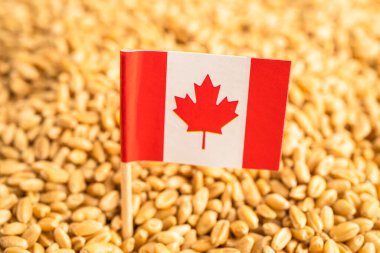 Kanada bayraklı tahıl, ticaret ihracatı ve ekonomi.