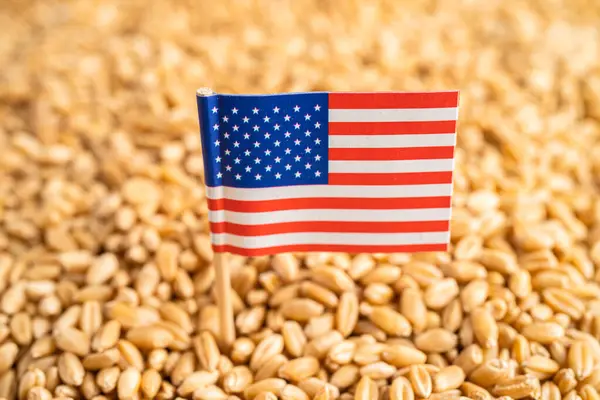 Spannmål Vete Med Usa Amerika Flagga Handel Export Och Ekonomi — Stockfoto