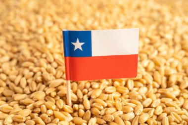 Şili bayraklı tahıl, ticaret ihracatı ve ekonomi.