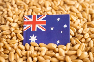 Avustralya bayrağı, ticaret ihracatı ve ekonomisi olan tahıl taneleri.