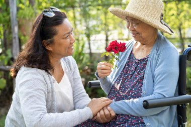 Asyalı yaşlı ya da yaşlı kadın elinde kırmızı gül çiçeği, gülümse ve mutlu bir şekilde güneşli bahçede.