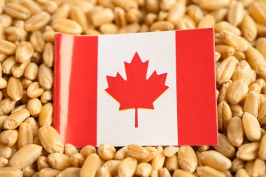 Kanada bayraklı tahıl, ticaret ihracatı ve ekonomi. Australiaflag, ticaret ihracatı ve ekonomi.