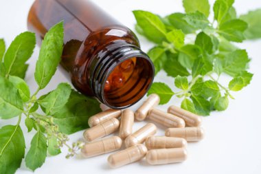 Alternatif ilaç bitkisel organik kapsül, mineral, bitkisel ilaç sağlıklı yaşam için doğal destek yaprakları..